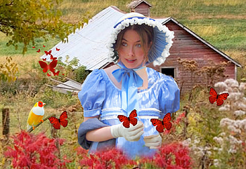 Prarie Life, girl, blue, white, bird, cabin, butterflies, brown, field, red, yellow, green, flowers HD wallpaper