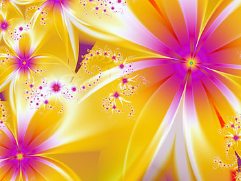 Alegria, Flowers, Bright, Colors, Beautiful HD wallpaper
