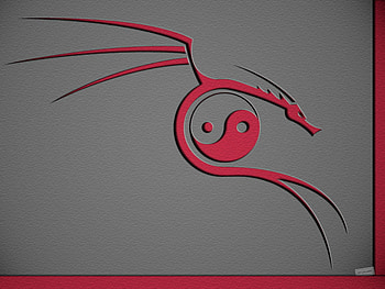 Dragon Yin Yang, 3d and cg, abstract, grey, red, dragon, yang, yin HD wallpaper