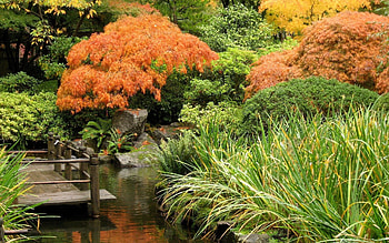 Nature, Trees, Autumn, Bridge, Pond HD wallpaper
