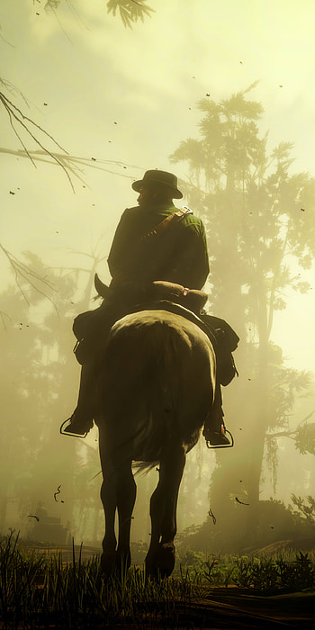 Red Dead Redemption 2 / Another Day in the Bayou, video game, Red Dead Redemption 2 HD phone wallpaper
