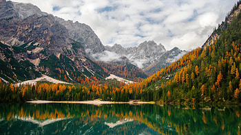Wildsee Reflections In The Dolomites Italy, trees, tree, mountains, reflection, italy, lake, sky, snow, nature HD wallpaper