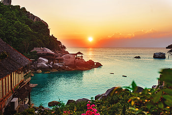 Nature, Sunset, Beach, Horizon, Ocean, Vegetation HD wallpaper