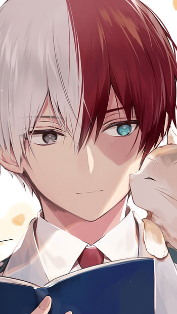 Todoroki: Ice & Fire — My Hero Academia , Shoto Todoroki, Anime, My Hero Academia HD phone wallpaper