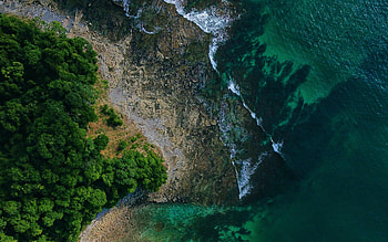 aerial view, forest, coast, waves, summer, sea, beautiful nature, R, travel concepts HD wallpaper