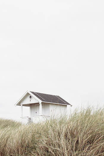 Grass, Minimalism, Small House, Lodge, Alone, Lonely, Harmony HD phone wallpaper
