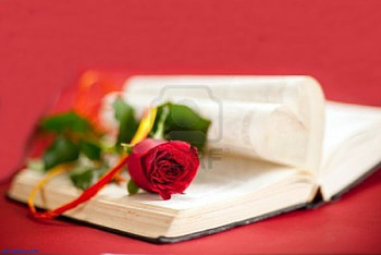 Love, roses, green, red HD wallpaper
