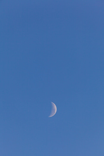 Nature, Sky, Twilight, Moon, Dusk, Evening HD phone wallpaper