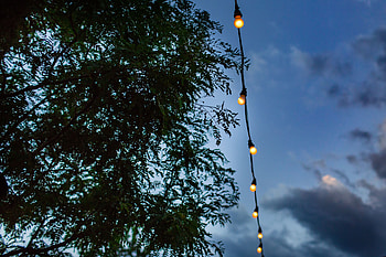 Sky, Miscellanea, Miscellaneous, Branches, Garland, Wire, Light Bulbs, Electric HD wallpaper