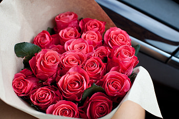 Red roses, bouquet, fresh flowers HD wallpaper