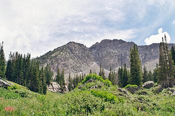 Utah Mountain, fun, cool, nature, Utah, forest, Mountain HD wallpaper