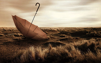 Grass, Miscellanea, Miscellaneous, Fall, Mainly Cloudy, Overcast, Umbrella HD wallpaper