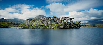 Connemara Galway Ireland, island, plants, lake, Ireland HD wallpaper