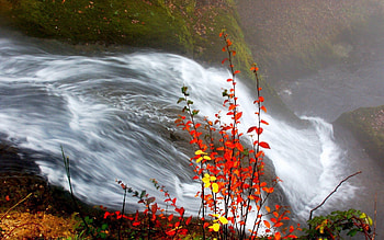 Nature, Autumn, Leaves, Waterfall, Flow HD wallpaper