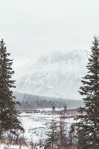 Winter, Nature, Rivers, Mountains, Snow, Forest HD phone wallpaper