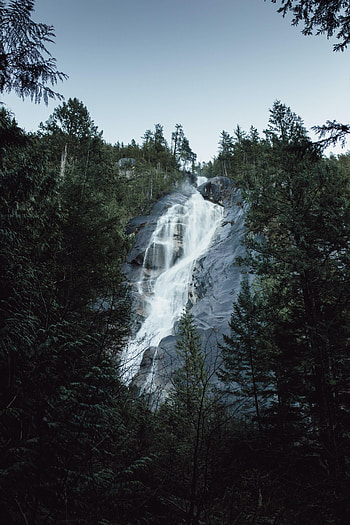 Landscape, Nature, Water, Trees, Rock, Waterfall HD phone wallpaper