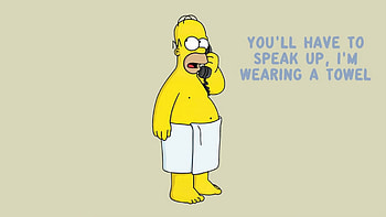 HOMER SIMPSON, THE SIMPSONS, LOL, FUNNY HD wallpaper