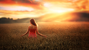 Women-in-field, Women, in, Sunset, field HD wallpaper