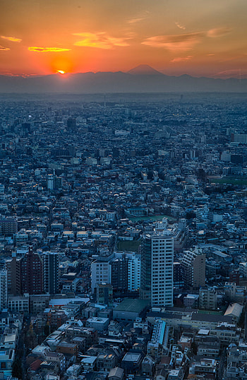 Cities, City, Building, View From Above, Horizon, Japan, Tokyo HD phone wallpaper
