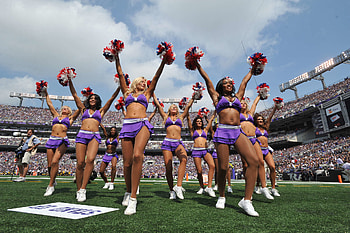 Baltimore Ravens Cheerleaders NFL HD wallpaper