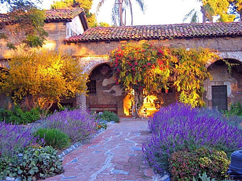 Garden, nature, flowers, hose HD wallpaper