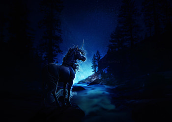 Horse Blue Night, horse, artist, artwork, digital-art HD wallpaper