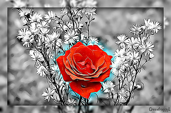 A SPLASH OF RED, ROSE, ABSTRACT, FRAMED, RED HD wallpaper