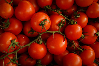 Testing in Visual Studio, Coded UI testing, Tomato ry, Technology reference HD wallpaper