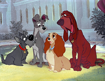 Lady and the Tramp, Disney's adorable dogs, Sweet , Heartfelt animation HD wallpaper