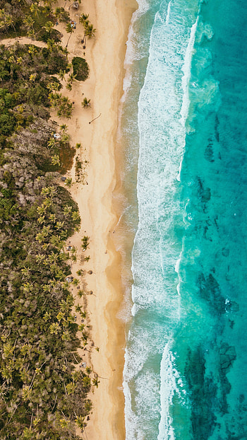 Nature, Sand, Palms, Coast, Ocean, Foam, Surf HD phone wallpaper