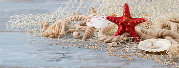 Happy Summer!, blue, starfish, summer, shell, wood, red, card HD wallpaper