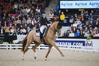 Dressage sports, FEI dressage world cup, Dazzling Dufour, Gothenburg triumph HD wallpaper