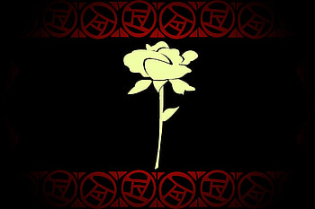 Rose, simplicity, dark, flower HD wallpaper