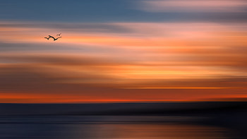 The End Of Summer, nature, sky, sea, ocean, birds HD wallpaper