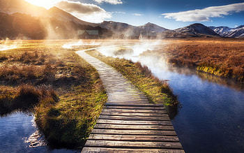Wooden Path, nature, wood HD wallpaper