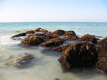 Nature, Stones, Sea, Waves, Beach, Dubai, Persian Gulf, Uae, U.a.e HD wallpaper