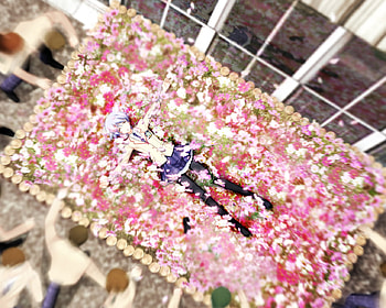 Resting above these million flowers, pink, high school, anime, flowers, girl HD wallpaper