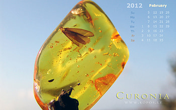Baltic amber with inclusions, sand, dunes, curonia, monthly, spit, 2012, inclusions, heritage, unique, curonian, beauty, baltic, lithuanian, legend, calendar, unesco, kurische, kopos, magic, amber, landscape, nehrung, list, february, beautiful, park, neringa, spirit, national, world, nature, harmony HD wallpaper