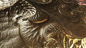 Bronze Alien Planet - 3d Fractal Space Art, space, brown, metal, 3D, Abstract HD wallpaper