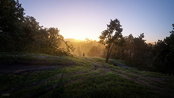 Red Dead Redemption 2 / Lovely Morning Walk, video game, Red Dead Redemption 2 HD wallpaper