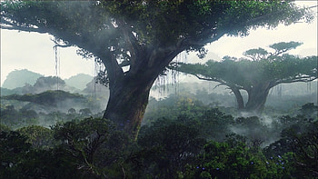 Avatar Banshee HD wallpaper