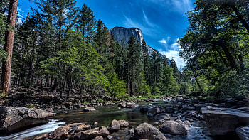 Merced River and El Capitan, river, graphy, landscape, USA, beautiful, canyons, National Park, scenery, wide screen, nature, , California HD wallpaper