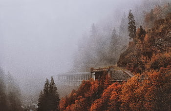 A misty mountain road winds through vibrant autumn foliage, creating a serene and atmospheric landscape. HD wallpaper
