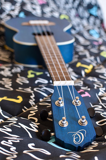 Music, Guitar, Vulture, Strings HD phone wallpaper