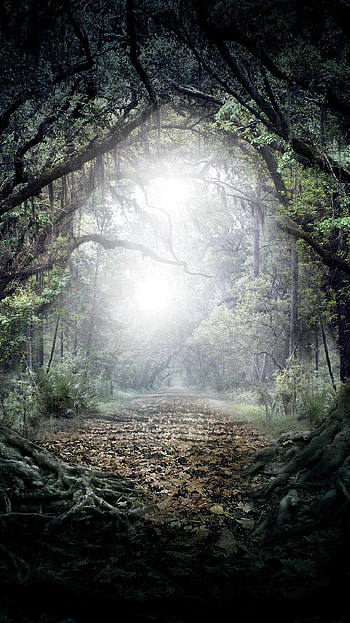 Beautiful Creatures (2022) movie HD phone wallpaper