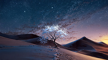 Twilight Bloom In The Dunes, twilight, dunes, nightfall, mountains, sky, stars, star, artist, artwork, digital-art HD wallpaper
