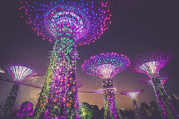 Cities, City, Illumination, Decoration, Lighting, Singapore, Artificial Trees HD wallpaper