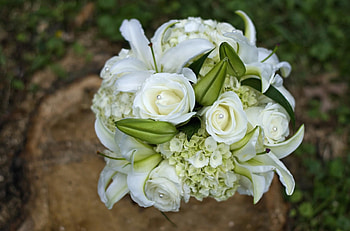 Flowers, Roses, Lilies, Bouquet, Decoration, Snow White, Hydrangeas HD wallpaper