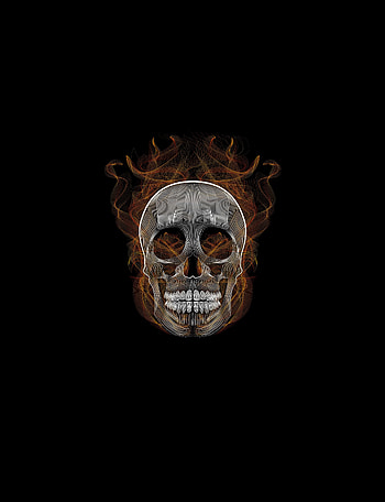 Blend, skull, vector, illustration HD phone wallpaper