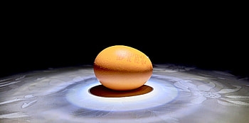 macro, food, egg HD wallpaper